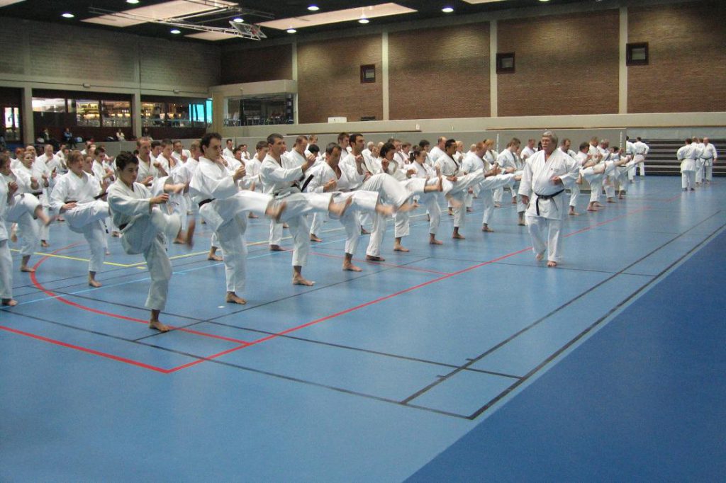 Stage JKA-F - Louvain-La-Neuve du 07/04/2007 au 09/04/2007